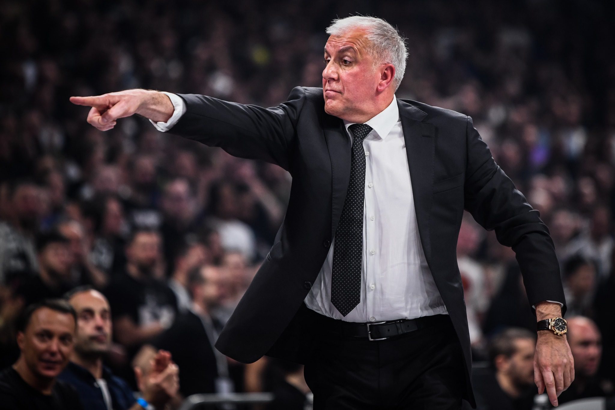 The Top 8 Modern European Basketball Coaches You Need to Know